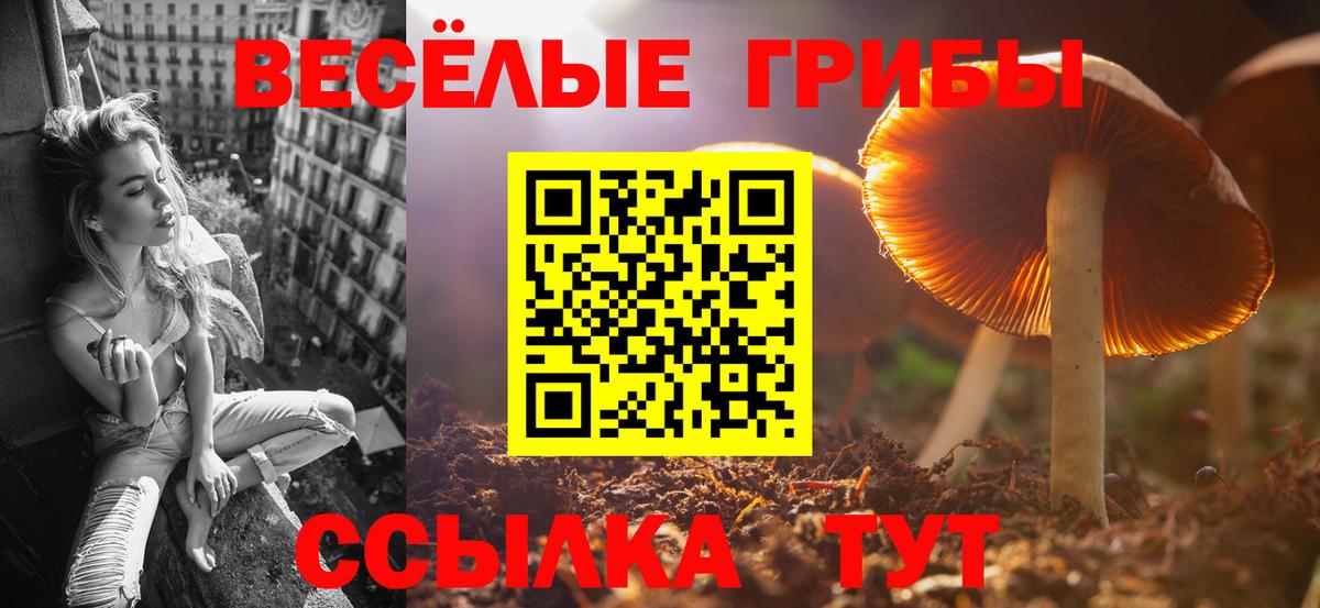 сколько стоит  Галлюциногенные грибы MAGIC MUSHROOMS  Вход с VPN  Кропоткин 