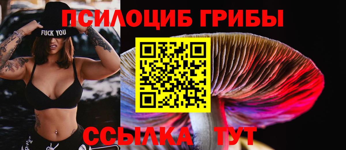 Alpha PVP СК   Канабис  Мефедрон   Вход с VPN  ЭКСТАЗИ  Гашиш  Кропоткин  ГАШИШ 
